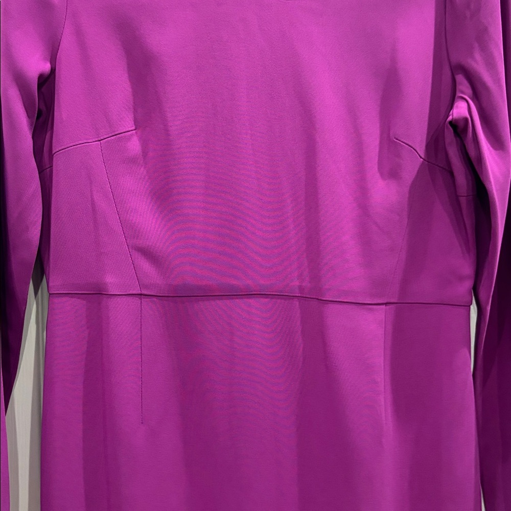 Raoul Purple Long Sleeve Dress - Picture 6 of 7